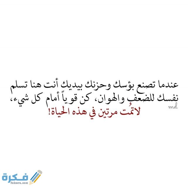 tumblr oi2ek3hdgq1u2t0tto1 1280