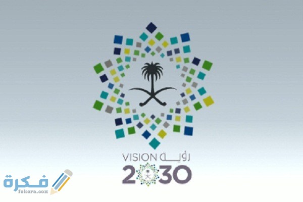 ما هي القطاعات التي سوف يتم تخصيصها في السعودية وفق رؤية 2030 ما هي القطاعات التي سوف يتم تخصيصها في السعودية وفق رؤية 2030