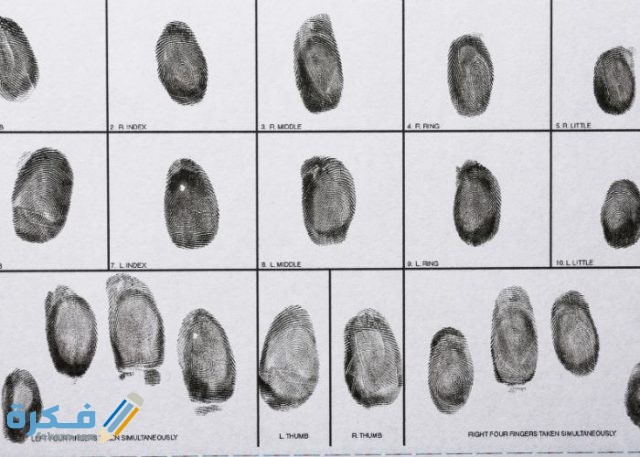 أماكن استخراج فيش وتشبيه كمبيوتر