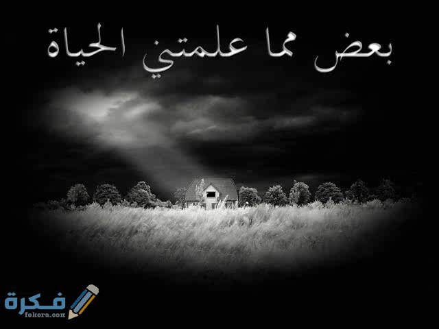 توبيكات عن الحياة 4