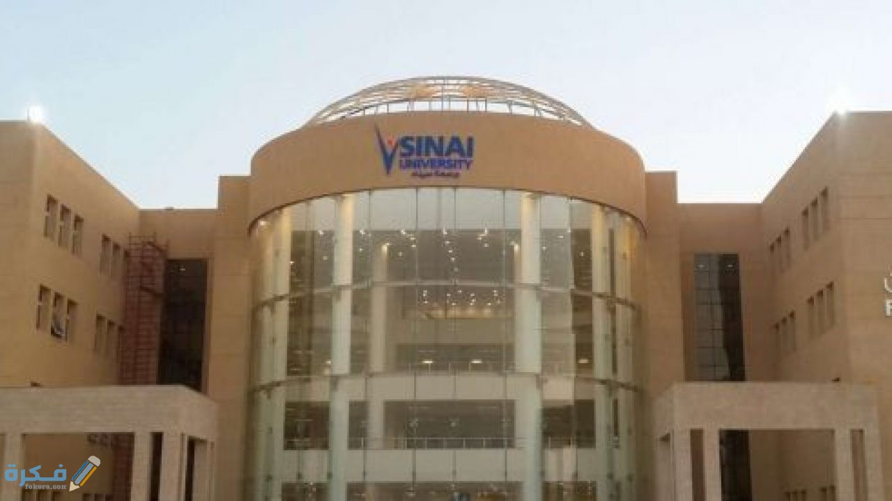 تخصصات الدراسة في جامعة سيناء