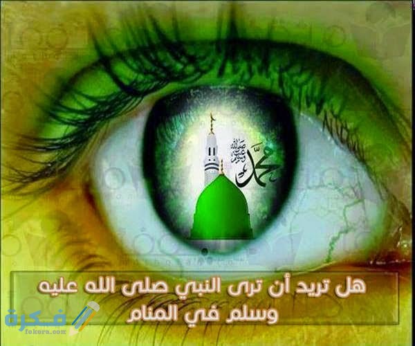 460924BB E6EF 445E B1E6 0A69C31D1A4F