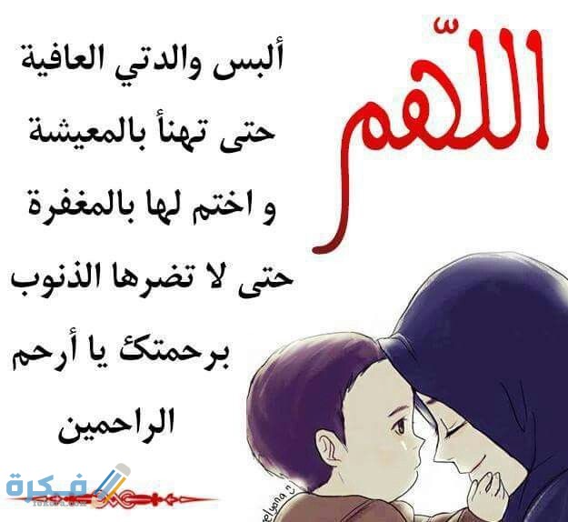 6f40c72a810a9f10009792b84e885860