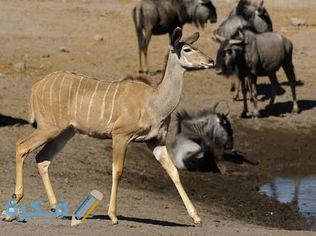 IMG 20200702 WA0055 1