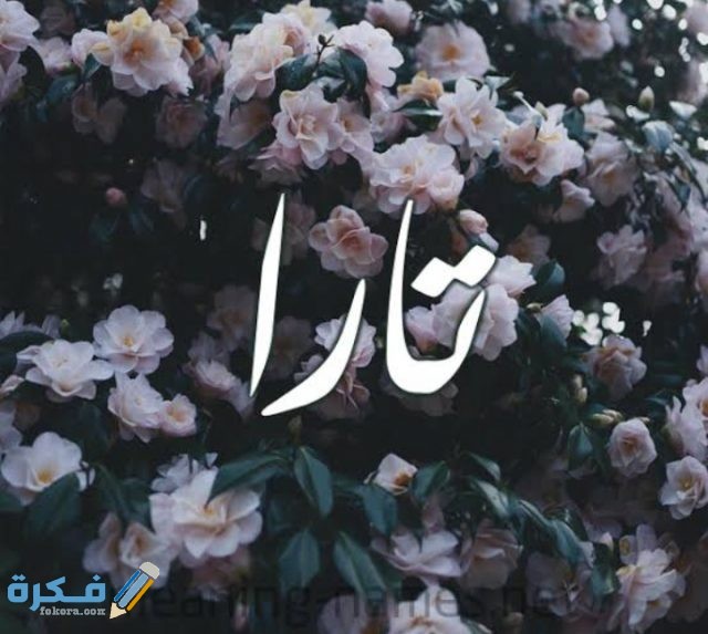 معني أسم تارا IMG ٢٠٢٠٠٧٠٢ ٠٠١٣٥٥