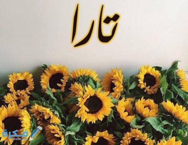 معني أسم تارا IMG ٢٠٢٠٠٧٠٢ ٠٢٣١٣٧