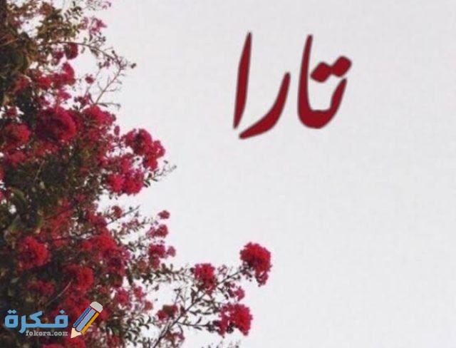 معني أسم تارا IMG ٢٠٢٠٠٧٠٢ ٠٢٣١٤٧