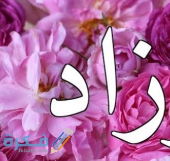 IMG ٢٠٢٠٠٧٠٣ ١٩٤٤٥١