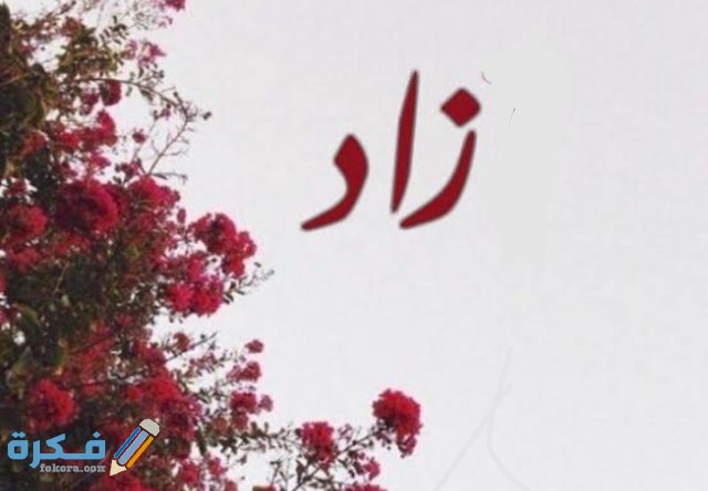 IMG ٢٠٢٠٠٧٠٣ ١٩٤٦٢٧