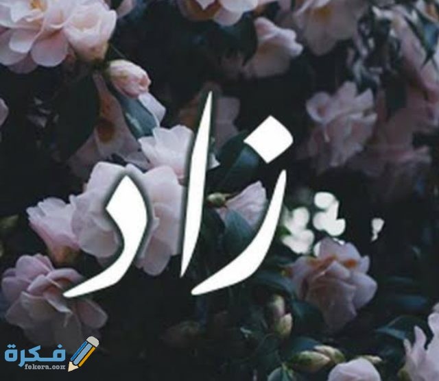 IMG ٢٠٢٠٠٧٠٣ ٢٠٠٨٢٠