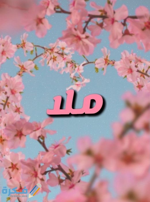 IMG ٢٠٢٠٠٧٠٥ ٠١٥٥٢٨