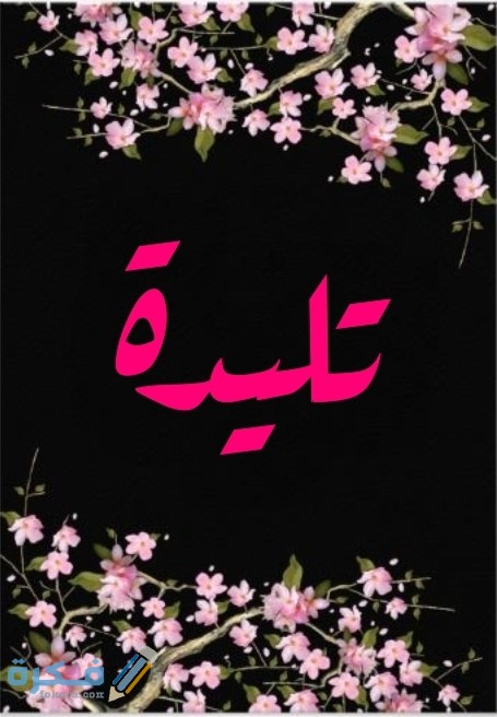 IMG ٢٠٢٠٠٧٠٦ ٠٢٤٩١٧