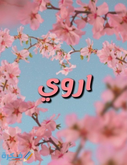 معني أسم اروي