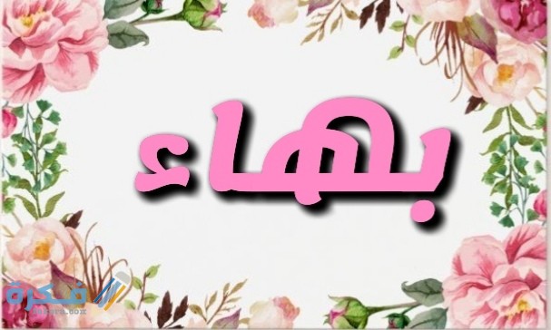 IMG ٢٠٢٠٠٧١٧ ٠٢٣٤٢٣