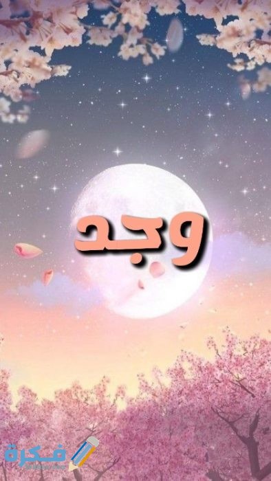 معني أسم وجد Snapchat 1036721016