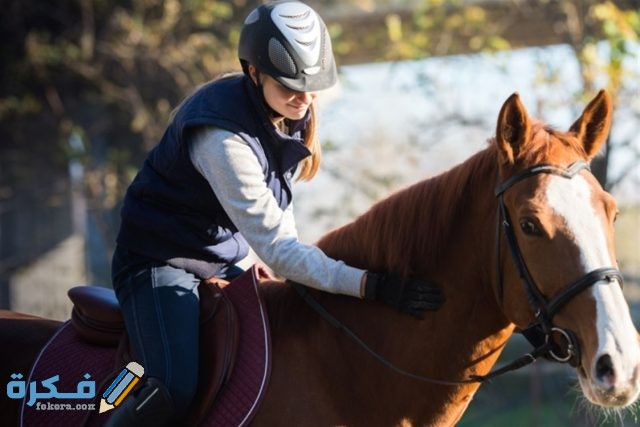 تفسير رؤية ركوب الخيل في المنام