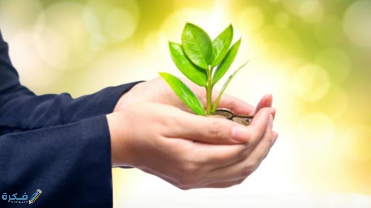 رابط جمعية دعم وشروط التسجيل وشرح خطوات التقديم 1446 1 رابط جمعية دعم وشروط التسجيل 1443