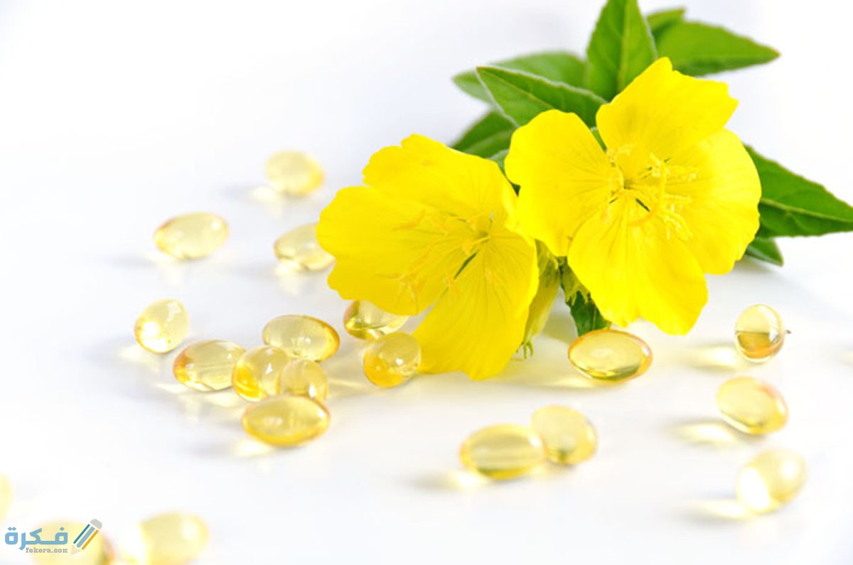 فوائد حبوب زهرة الربيع المسائية للبشرة 1 ماذا تعرف عن زهرة الربيع المسائية