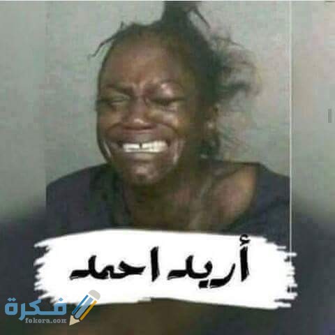 12122956 919849861422901 5249257684505252279 n