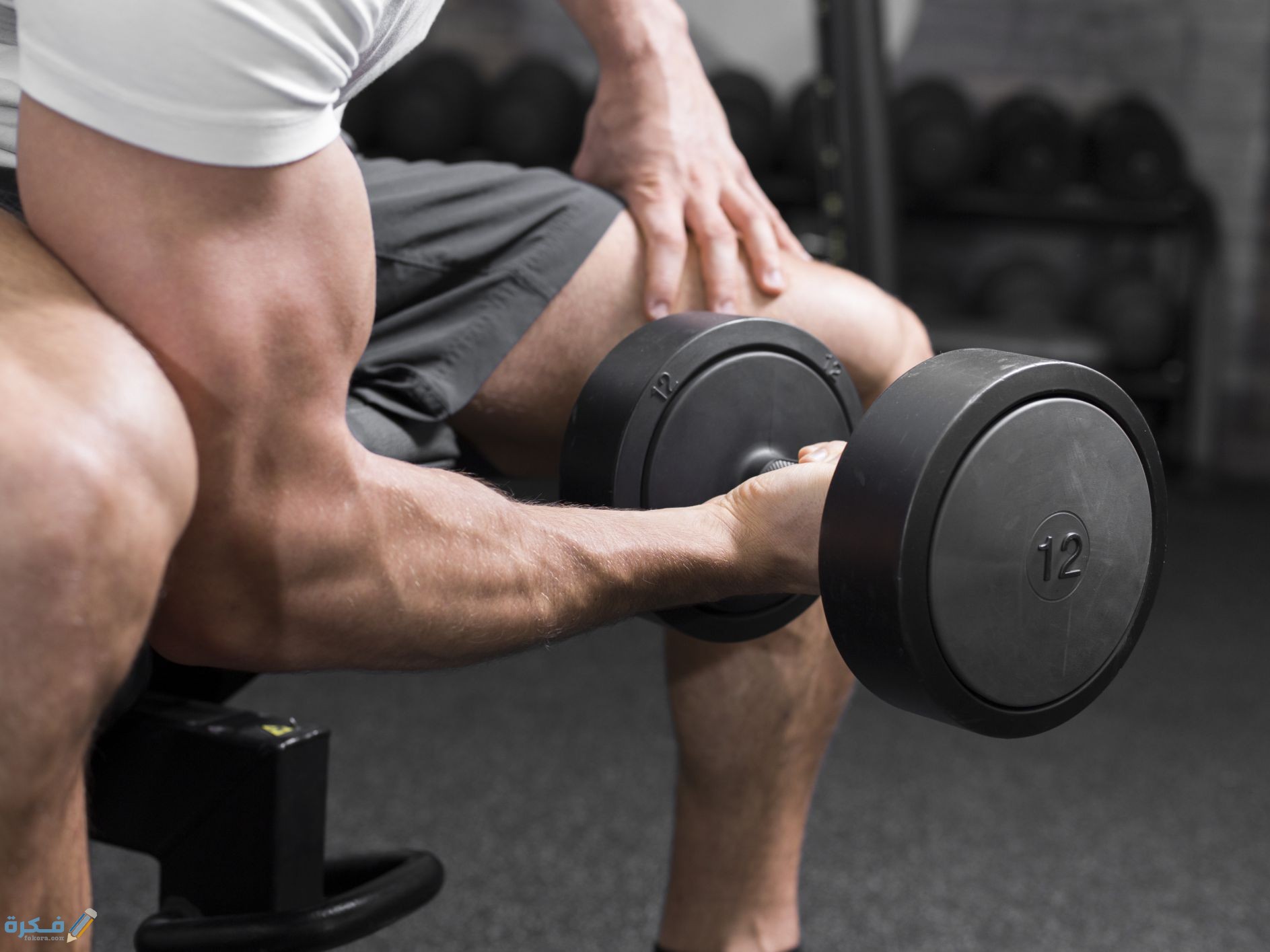 القوة الجسدية