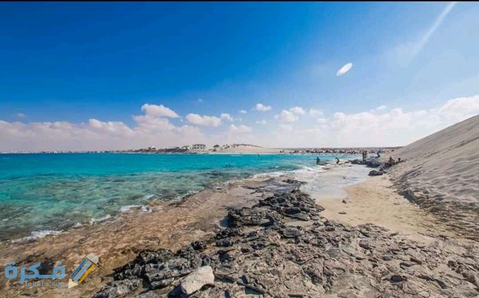 449B1089 0FA2 408C 9200 BF241ADE5910