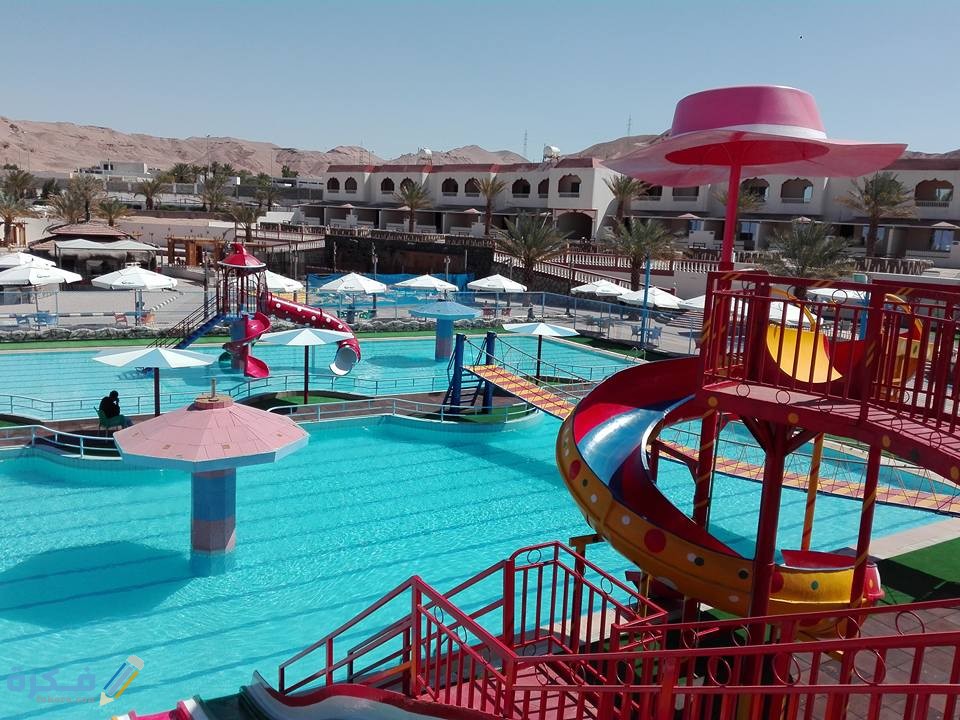 D84793A3 F74E 41C7 B340 5BA4385F5B60