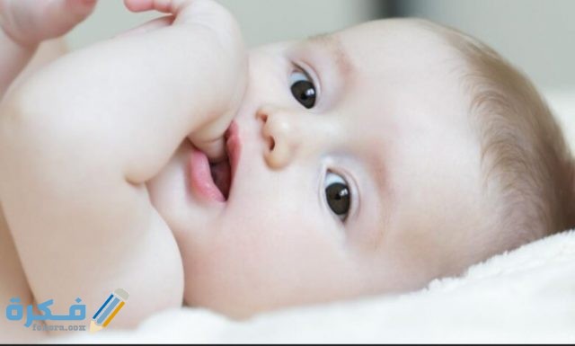 IMG ٢٠٢٠٠٨٠٣ ١٥٣٧٥٧