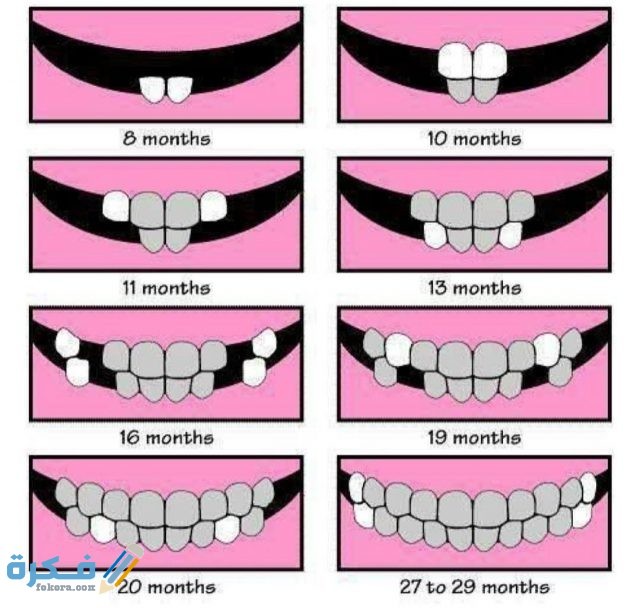 IMG ٢٠٢٠٠٨٠٥ ٠٩٣٩٤٣