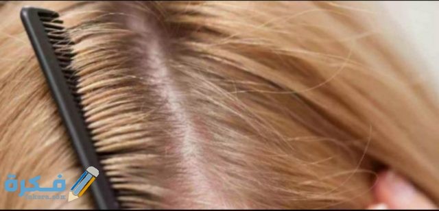 IMG ٢٠٢٠٠٨١٤ ١٦٠٣٣٩