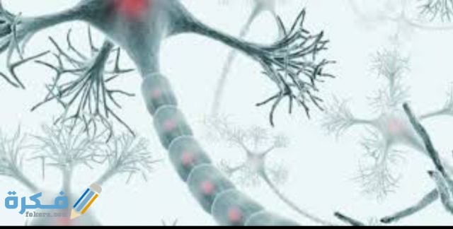 IMG ٢٠٢٠٠٨٢١ ١٤٣٩٣١