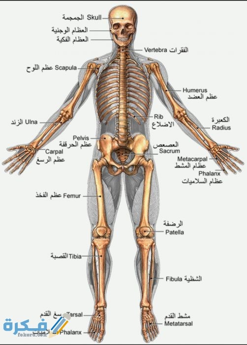 IMG ٢٠٢٠٠٨٢١ ١٩٥٥٣٥