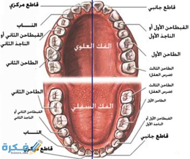 IMG ٢٠٢٠٠٨٢٣ ١١٢٩١٢