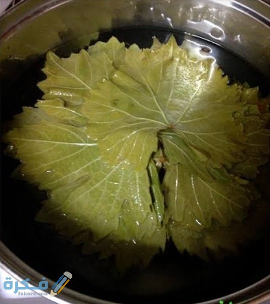 IMG ٢٠٢٠٠٨٢٦ ٠١٠٣٣١