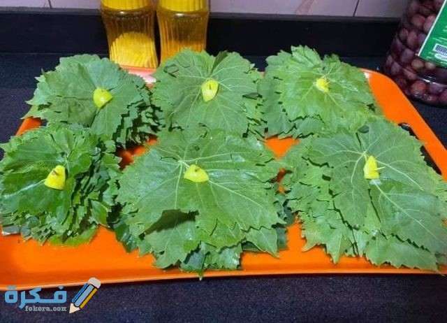 IMG ٢٠٢٠٠٨٢٦ ٠١٠٣٤٢