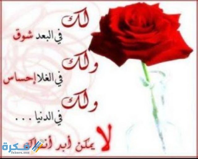 IMG ٢٠٢٠٠٨٢٨ ١٠٣٣١٨ 1