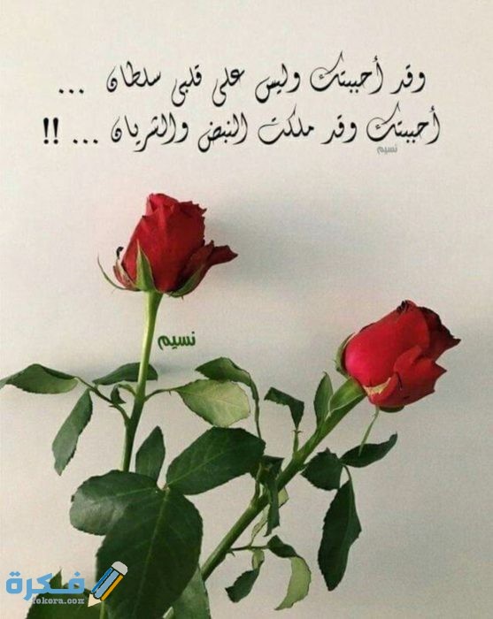 IMG ٢٠٢٠٠٨٢٨ ١٠٣٤٣٤ 1