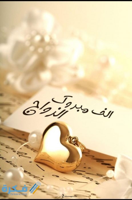 IMG ٢٠٢٠٠٨٢٨ ١٠٣٩٢٤