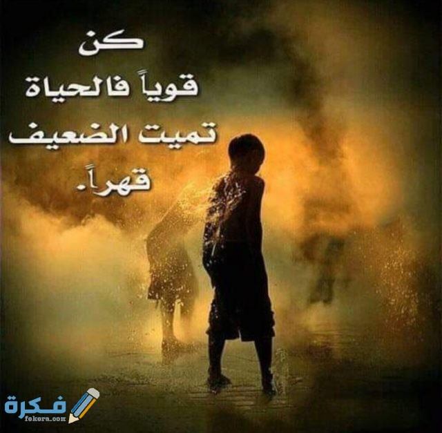 IMG ٢٠٢٠٠٨٢٨ ١١٠٤٠٦