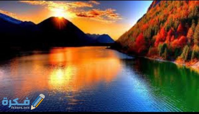 IMG ٢٠٢٠٠٨٢٨ ١٤٢٤٥٩