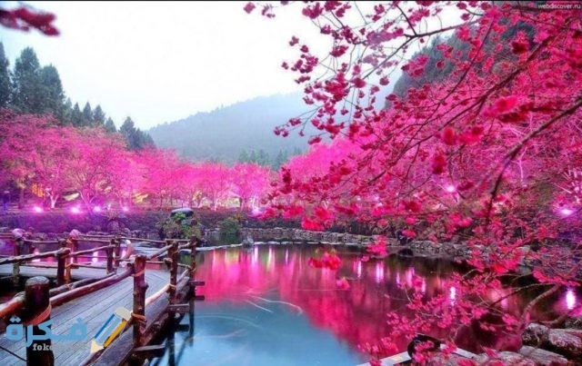 IMG ٢٠٢٠٠٨٢٨ ١٤٣١١٦