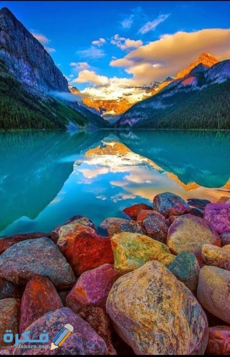 IMG ٢٠٢٠٠٨٢٨ ١٤٣٢١٨