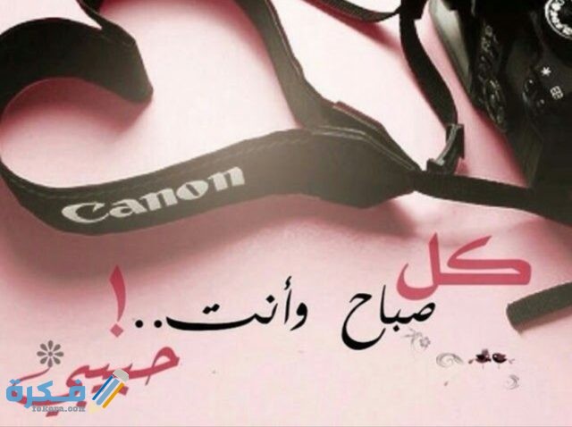 IMG ٢٠٢٠٠٨٢٨ ١٦٢١٣٨