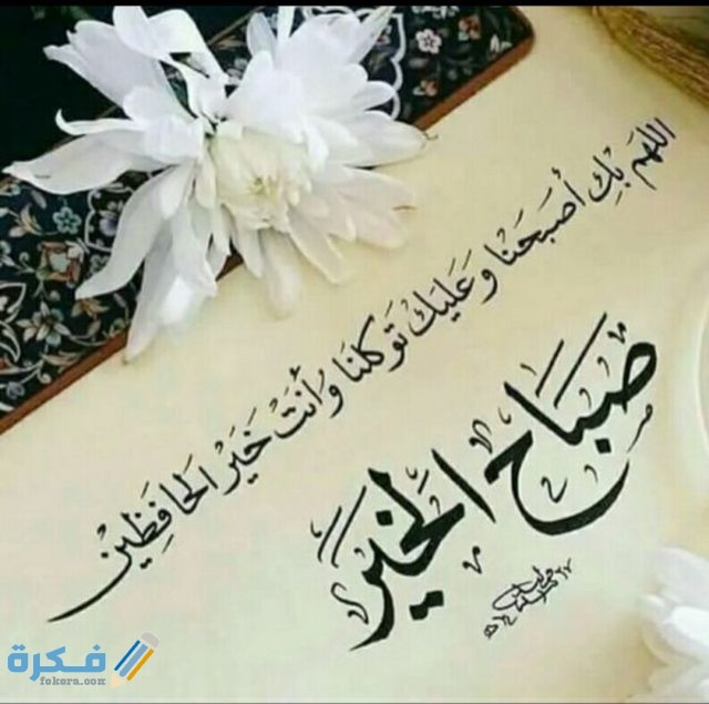 IMG ٢٠٢٠٠٨٢٨ ١٦٢٢٥٩