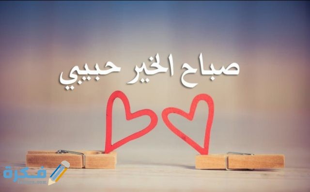 IMG ٢٠٢٠٠٨٢٨ ١٦٢٤١٧