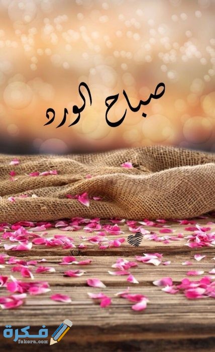 IMG ٢٠٢٠٠٨٢٨ ١٦٢٤٣٠