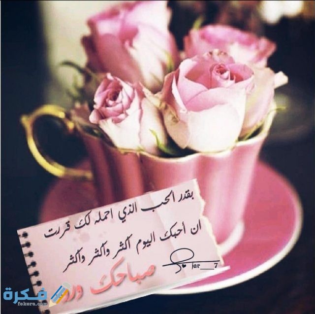 IMG ٢٠٢٠٠٨٢٨ ١٦٢٤٤٤