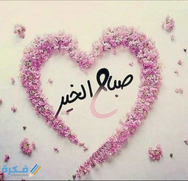 IMG ٢٠٢٠٠٨٢٨ ١٦٢٥٠١