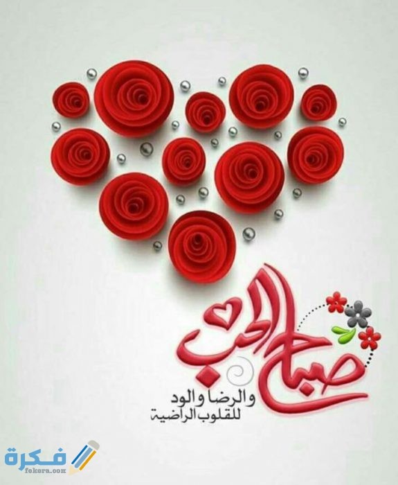 IMG ٢٠٢٠٠٨٢٨ ١٦٢٦٢٢