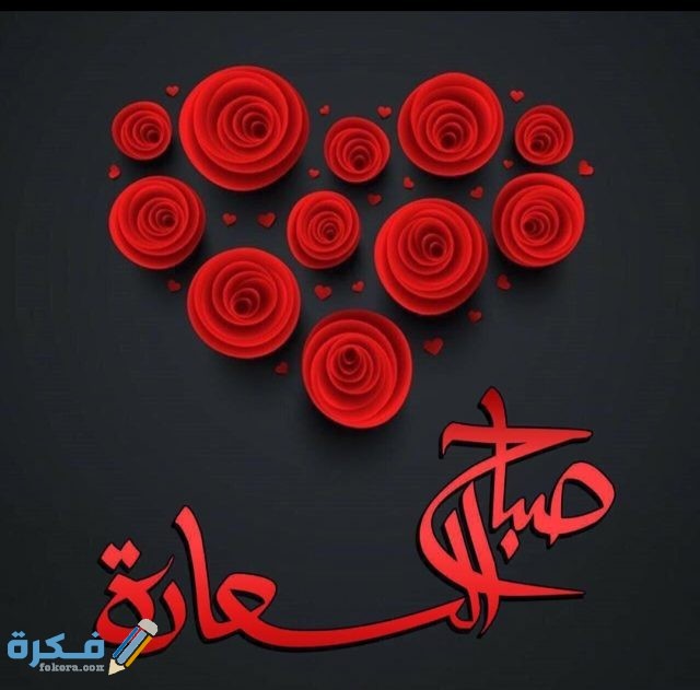 IMG ٢٠٢٠٠٨٢٨ ١٦٢٦٣٨