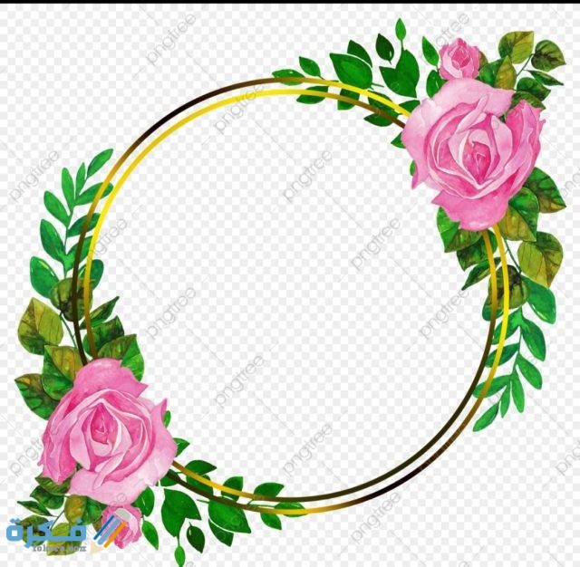 IMG ٢٠٢٠٠٨٢٨ ١٦٤٩٠٨